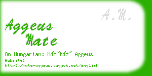 aggeus mate business card